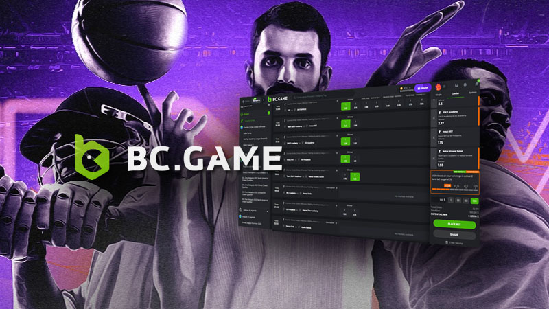 Exploring the World of BC.Game Mirror 14